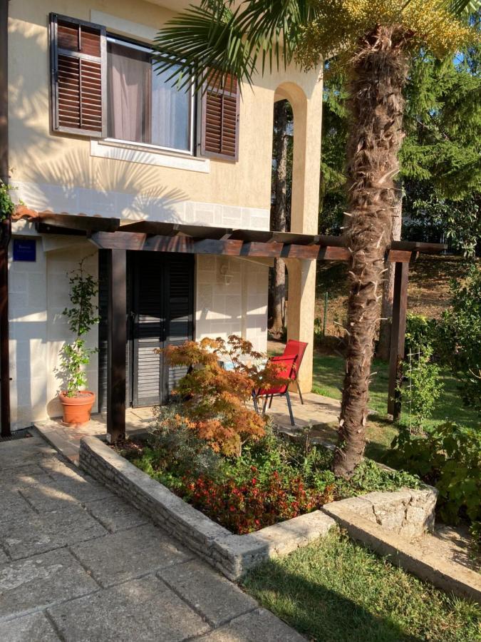 Tominovic Apartment